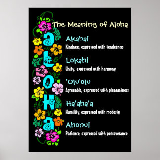 The Meaning of Aloha Poster