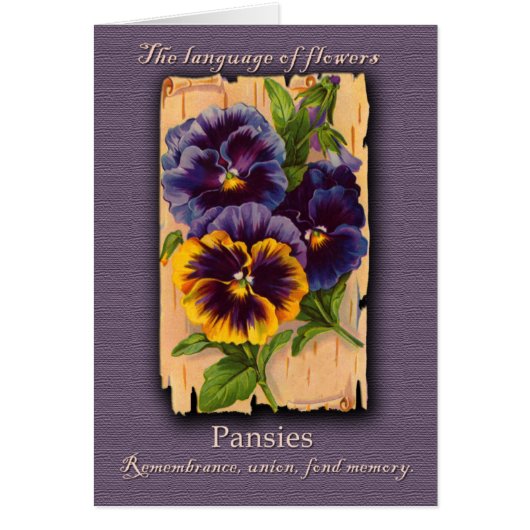 The Meaning of the Pansy Cards (Front)