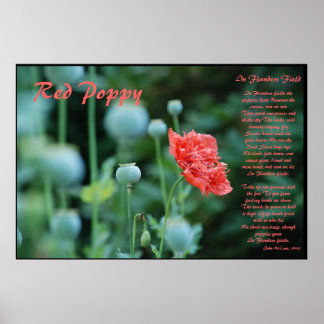 The Meaning of the Red Poppy Poster