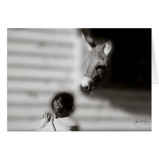 The Meeting (Front Horizontal)