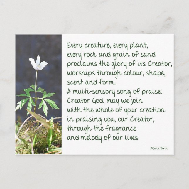 The melody of our lives - A prayer Postcard (Front)