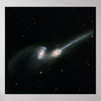 The Mice (NGC 4676)- Colliding Galaxies Poster
