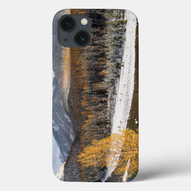 The Middle Fork Of The Flathead River Case-Mate iPhone Case (Back)
