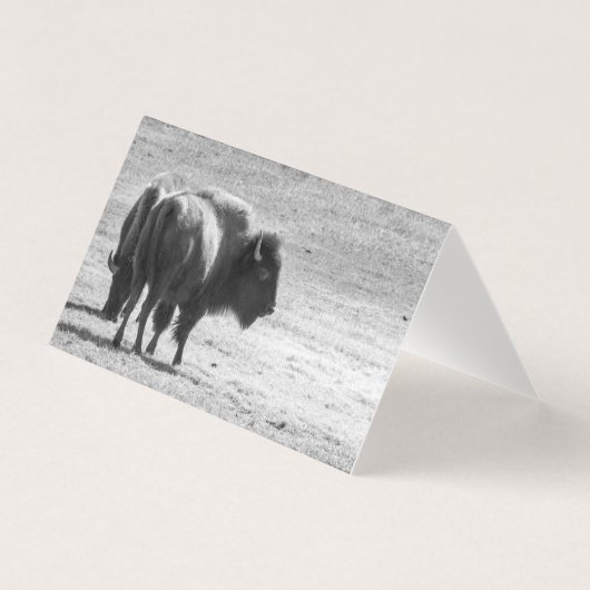 The Mighty Buffalo (Front)