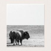 The Mighty Buffalo (Outside Unfolded)