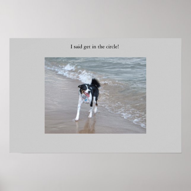 The mighty Collie Poster (Front)