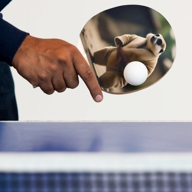 The Mighty Meerkat: Sumo Showdown, Ping Pong Paddle (Insitu)