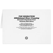 The Migration (Wildebeest River Crossing) - HB Cards (Back Horizontal)
