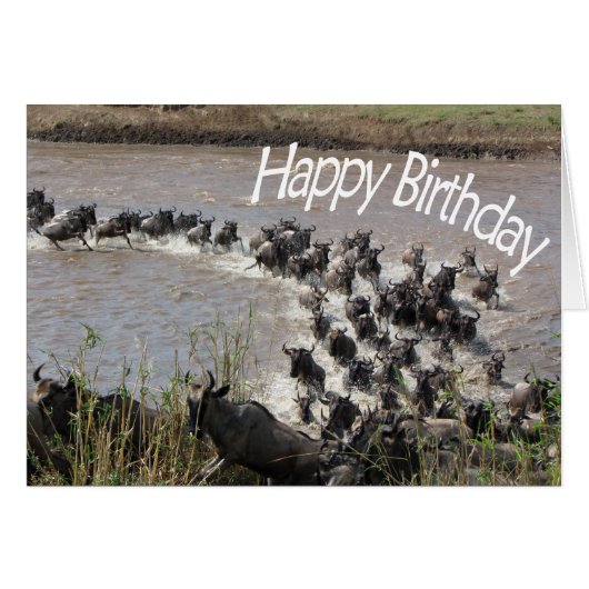 The Migration (Wildebeest River Crossing) - HB Cards (Front Horizontal)