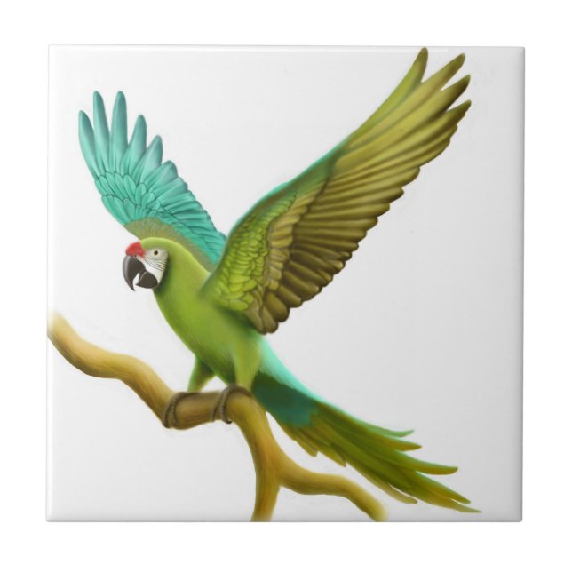 The Military Macaw Parrot Tile (Front)