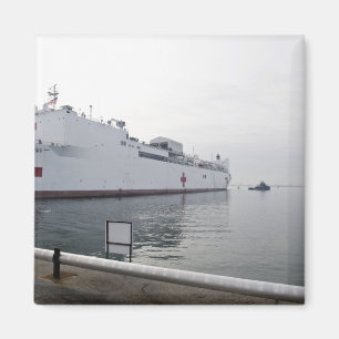 The Military Sealift Command hospital ship Magnet