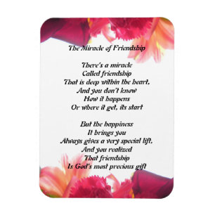 The Miracle of Friendship Magnet
