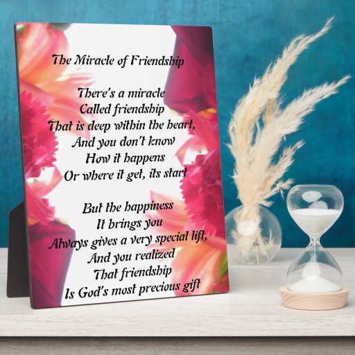 The Miracle of Friendship plaque | Zazzle