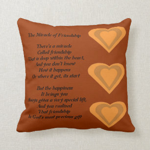 The Miracle of Friendship Poem pillow