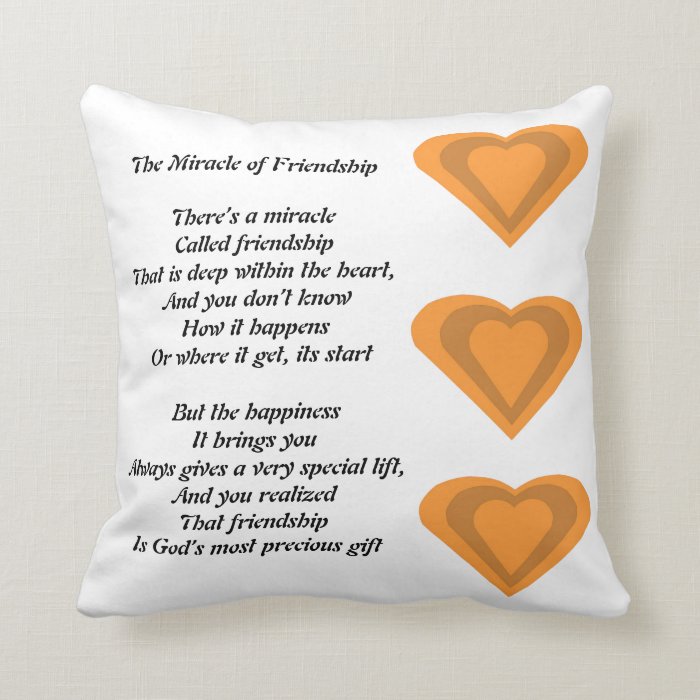 The Miracle of Friendship Poem pillow