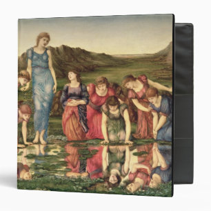 The Mirror of Venus, 1870-76 (oil on canvas) Binder