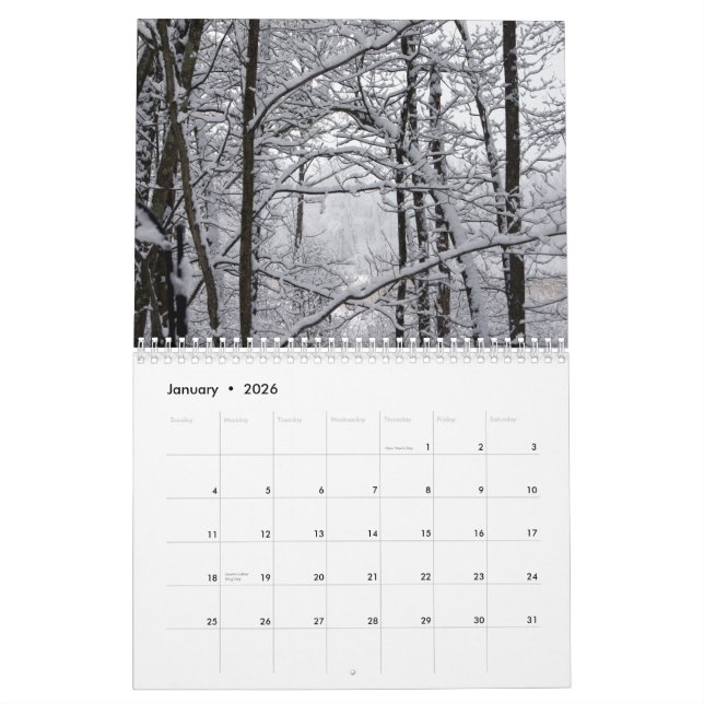 The Miss Molly Photography Calendar (Jan 2026)