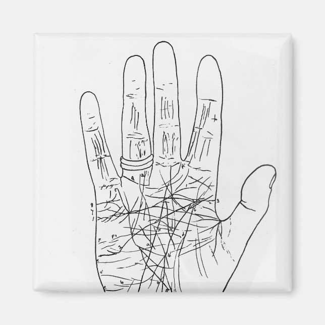 The Model Hand Magnet (Front)