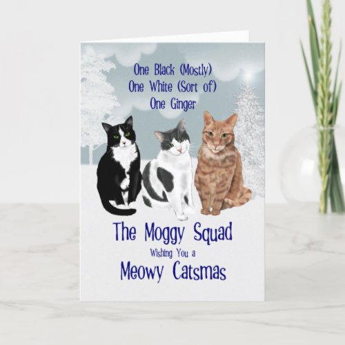 The Moggy Squad Three Cats Christmas Holiday Card