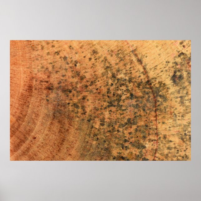 The mold that grows on the brown wood surface is d poster (Front)