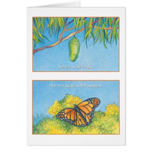 The Monarch Butterfly- Psalm 27:14 Cards (Front)