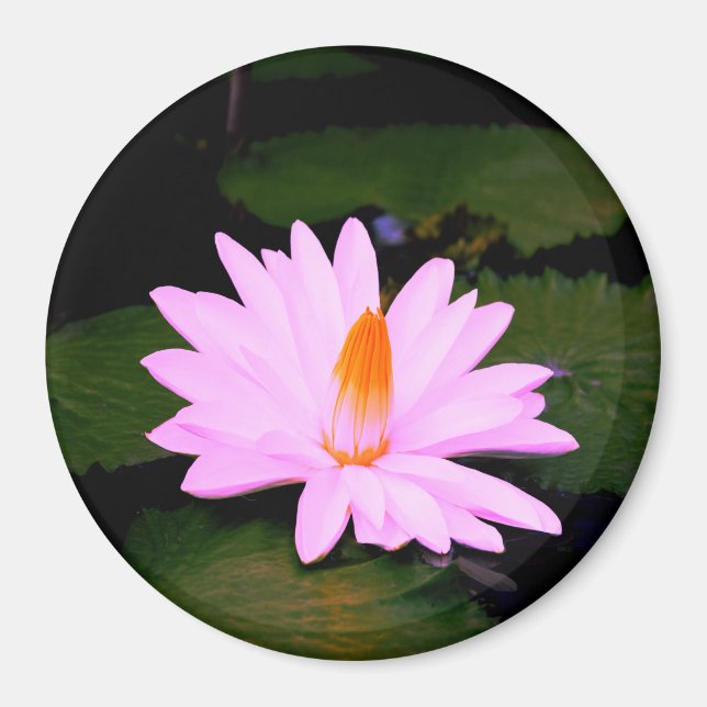 The Monet Effect... Magnet (Front)