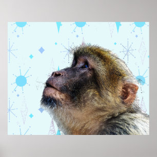 The Monkey Looks At Mid Century Modern Wallpaper Poster