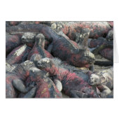 The monster pact postcard (Front Horizontal)