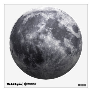 The Moon - 3D Effect Wall Decal