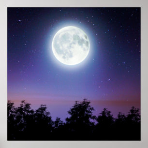 the Moon above the forest Poster