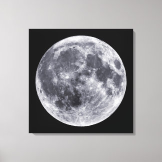 The Moon Canvas Print