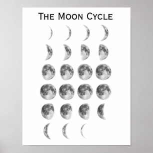 The Moon Cycle Poster