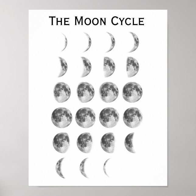 The Moon Cycle Poster (Front)