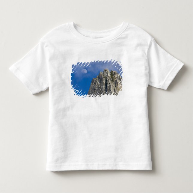 The moon rises and shines through the clouds toddler t-shirt (Front)