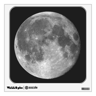 THE MOON WALL STICKER