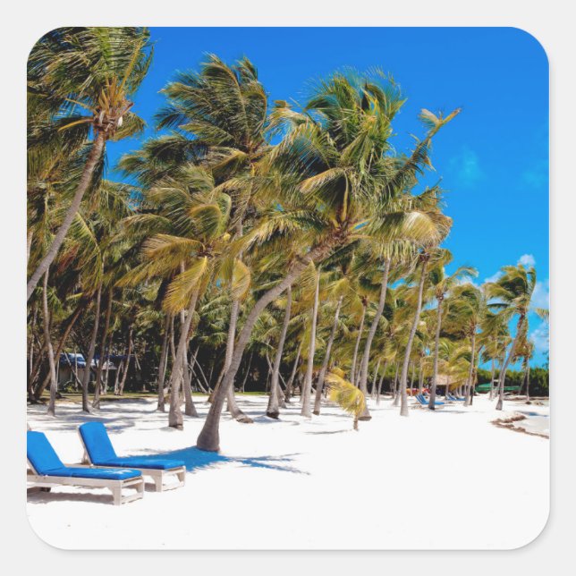 The Moorings Resort, Marathon, Key West, 3 Square Sticker (Front)