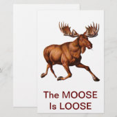 THE MOOSE IS LOOSE (Front/Back)