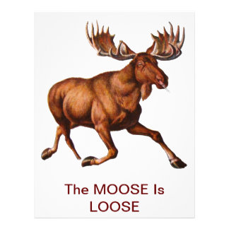 Moose Letterhead | Zazzle