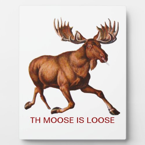 THE MOOSE IS LOOSE PLAQUE