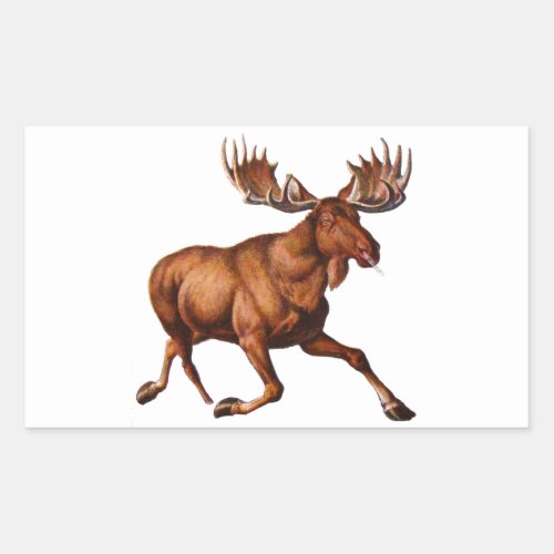 THE MOOSE IS LOOSE RECTANGULAR STICKER