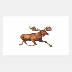 THE MOOSE IS LOOSE RECTANGULAR STICKER