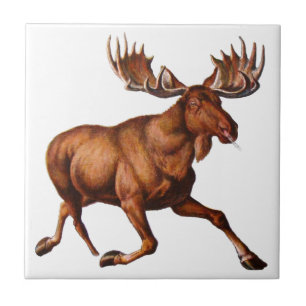 THE MOOSE IS LOOSE TILE