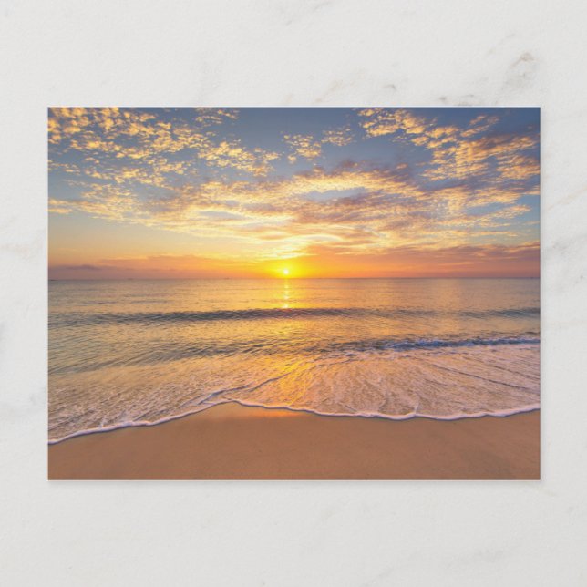 The Morning Sun at Seaside Postcard (Front)