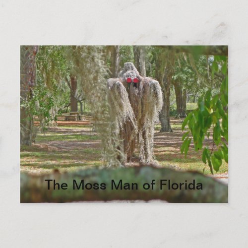 The Moss Man of Florida Postcard