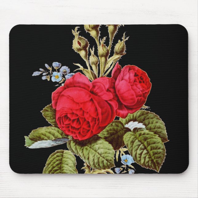 The Moss Rose - Vintage Fine Art Mouse Pad (Front)