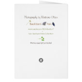 The most alive is the wildest.~Henry David Thoreau (Back)