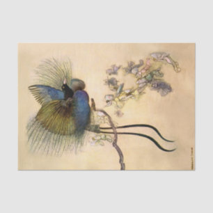 “The Most Beautiful Bird” by Warwick Goble Tissue Paper