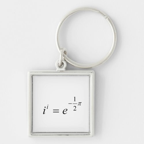 The most beautiful Math Equation Keychain