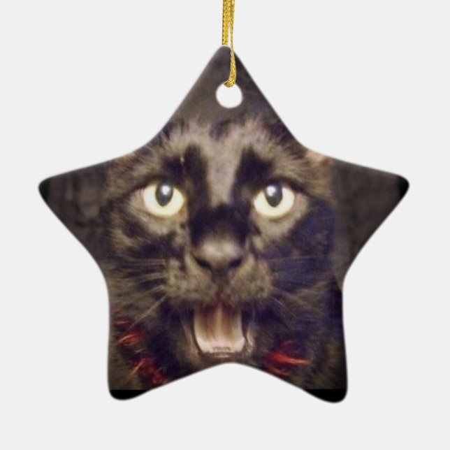 The Most Handsome Star Ornament (Back)