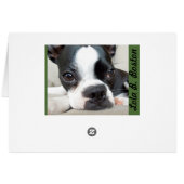 The most powerful antidepressant... BLANK CARD (Back Horizontal)